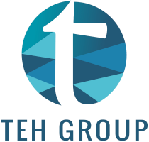 Teh Group Virtual World logo